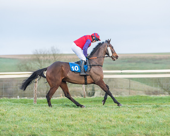 Race 8 - PPORA conditions for Novice Riders (140 of 378)