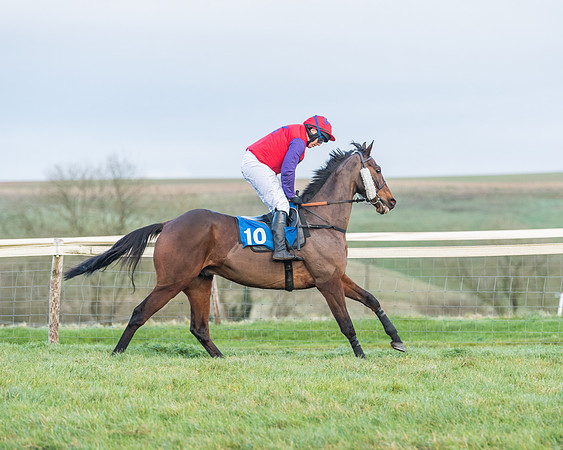 Race 8 - PPORA conditions for Novice Riders (141 of 378)