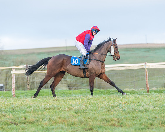 Race 8 - PPORA conditions for Novice Riders (139 of 378)