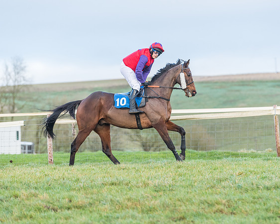 Race 8 - PPORA conditions for Novice Riders (138 of 378)