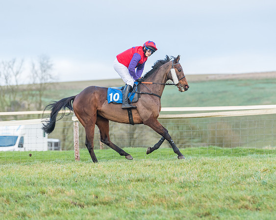 Race 8 - PPORA conditions for Novice Riders (137 of 378)
