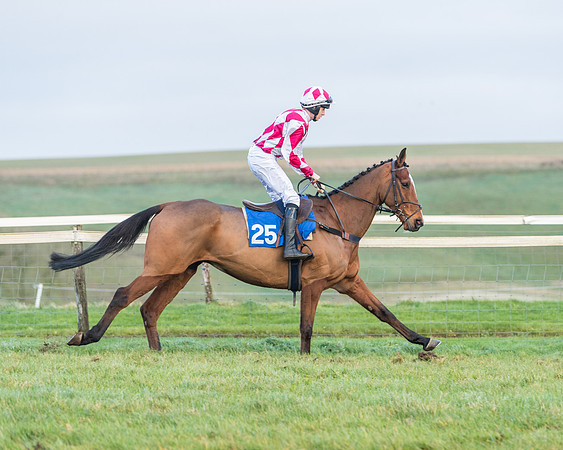 Race 8 - PPORA conditions for Novice Riders (134 of 378)