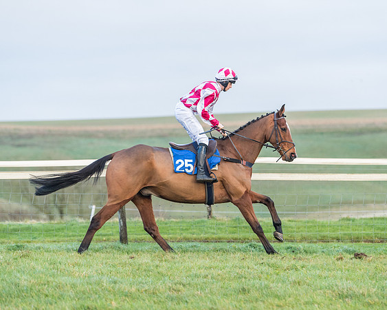 Race 8 - PPORA conditions for Novice Riders (133 of 378)