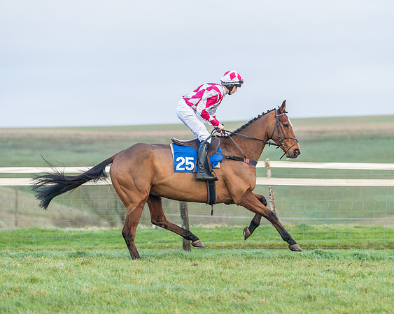 Race 8 - PPORA conditions for Novice Riders (132 of 378)