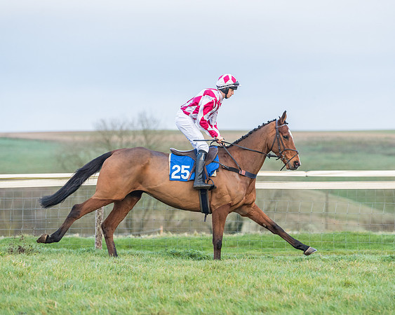 Race 8 - PPORA conditions for Novice Riders (130 of 378)