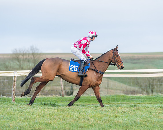 Race 8 - PPORA conditions for Novice Riders (131 of 378)