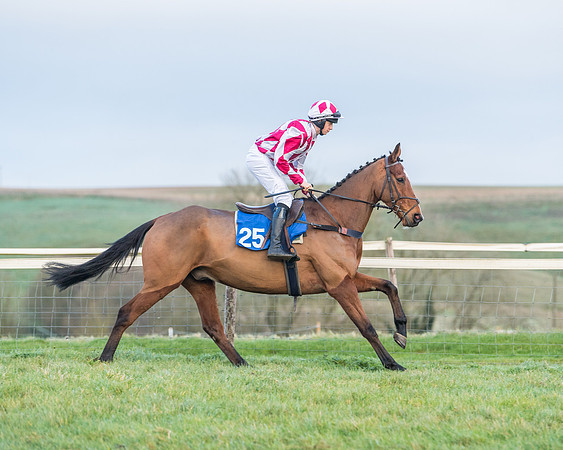 Race 8 - PPORA conditions for Novice Riders (129 of 378)