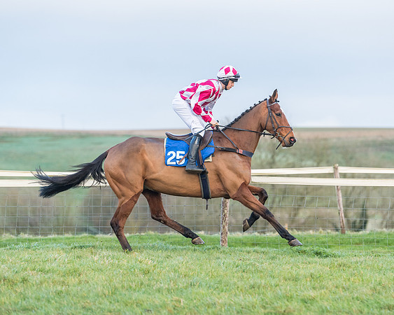 Race 8 - PPORA conditions for Novice Riders (128 of 378)