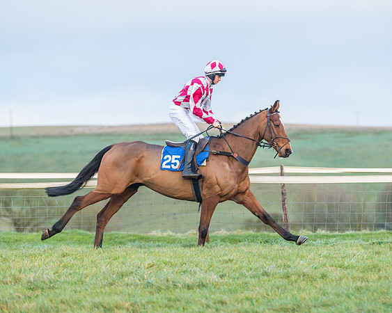 Race 8 - PPORA conditions for Novice Riders (125 of 378)
