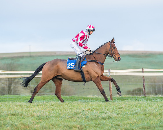 Race 8 - PPORA conditions for Novice Riders (124 of 378)