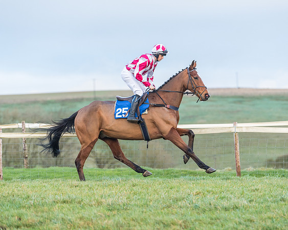 Race 8 - PPORA conditions for Novice Riders (123 of 378)