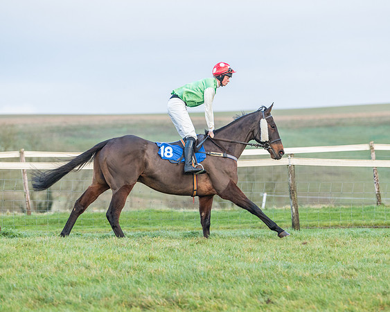 Race 8 - PPORA conditions for Novice Riders (120 of 378)
