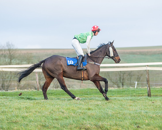 Race 8 - PPORA conditions for Novice Riders (119 of 378)