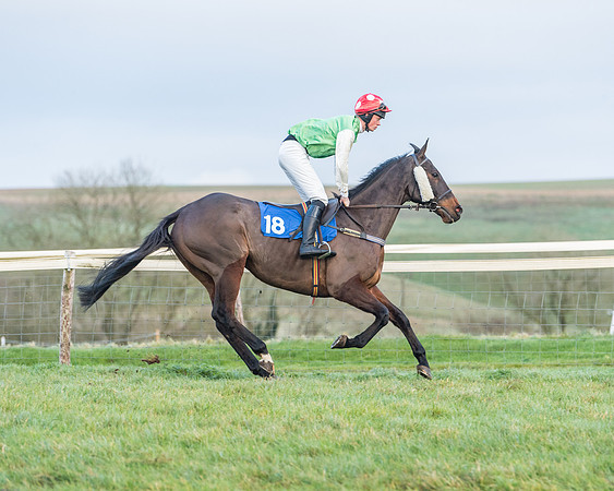 Race 8 - PPORA conditions for Novice Riders (118 of 378)