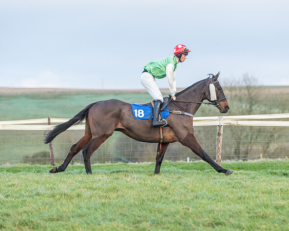 Race 8 - PPORA conditions for Novice Riders (116 of 378)