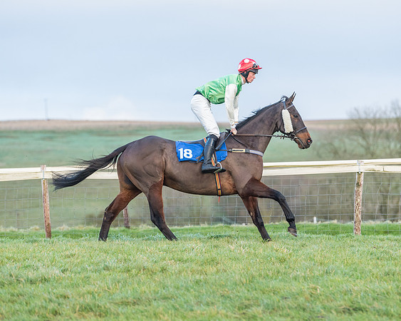 Race 8 - PPORA conditions for Novice Riders (115 of 378)
