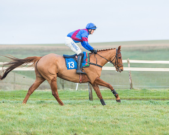 Race 8 - PPORA conditions for Novice Riders (113 of 378)