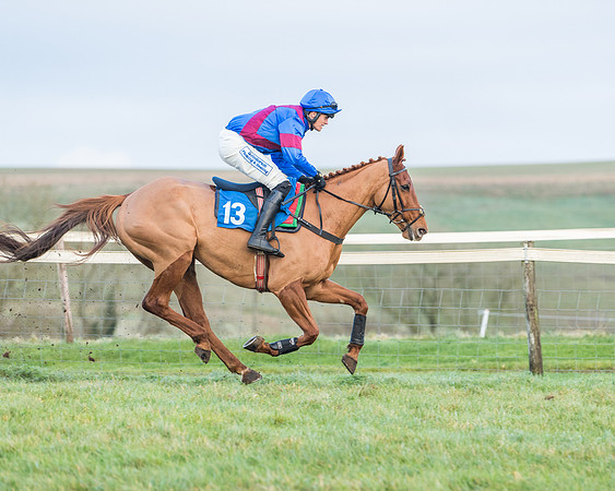 Race 8 - PPORA conditions for Novice Riders (111 of 378)