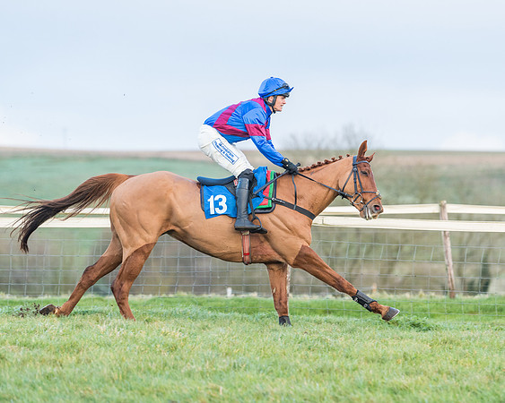 Race 8 - PPORA conditions for Novice Riders (107 of 378)