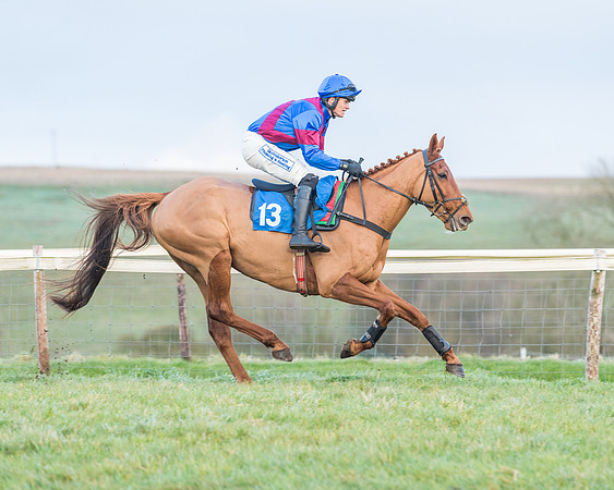 Race 8 - PPORA conditions for Novice Riders (105 of 378)