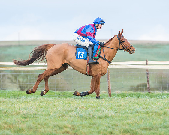 Race 8 - PPORA conditions for Novice Riders (102 of 378)