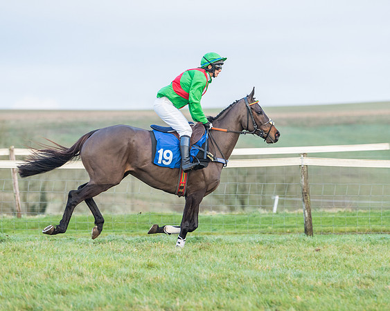 Race 8 - PPORA conditions for Novice Riders (101 of 378)