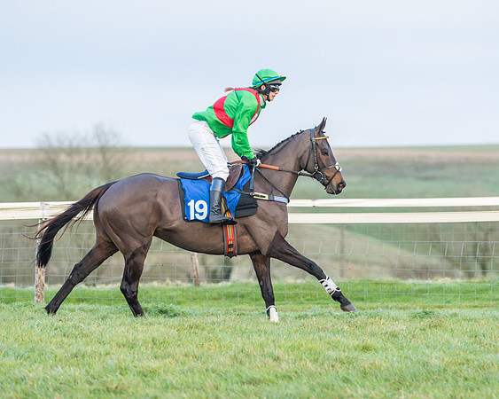 Race 8 - PPORA conditions for Novice Riders (99 of 378)