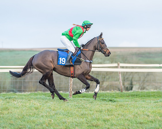 Race 8 - PPORA conditions for Novice Riders (97 of 378)
