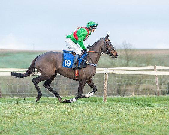 Race 8 - PPORA conditions for Novice Riders (96 of 378)