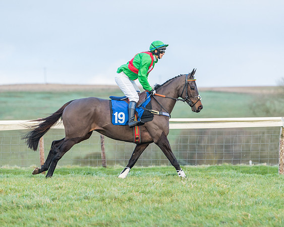 Race 8 - PPORA conditions for Novice Riders (94 of 378)