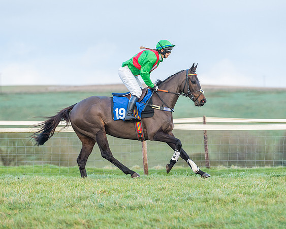 Race 8 - PPORA conditions for Novice Riders (92 of 378)