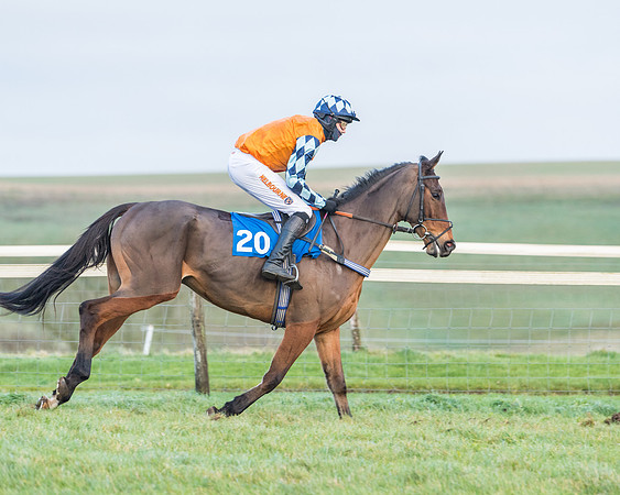 Race 8 - PPORA conditions for Novice Riders (91 of 378)
