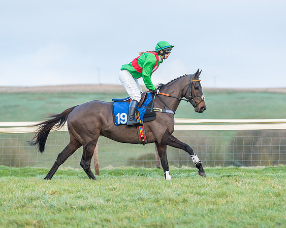 Race 8 - PPORA conditions for Novice Riders (93 of 378)