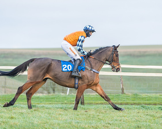 Race 8 - PPORA conditions for Novice Riders (90 of 378)