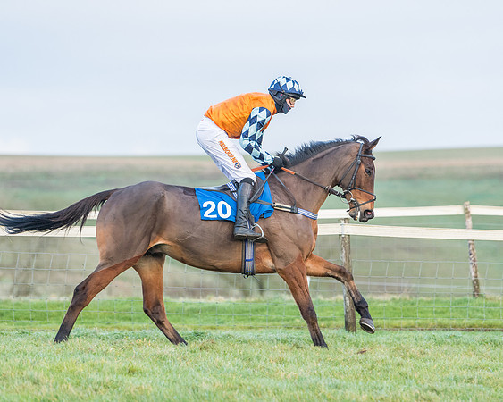 Race 8 - PPORA conditions for Novice Riders (89 of 378)