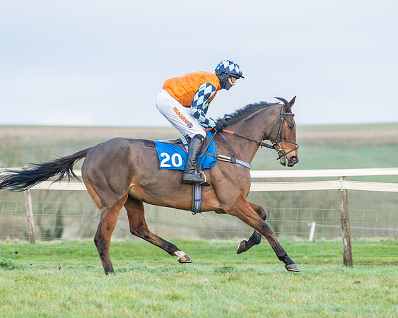 Race 8 - PPORA conditions for Novice Riders (88 of 378)