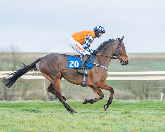 Race 8 - PPORA conditions for Novice Riders (87 of 378)