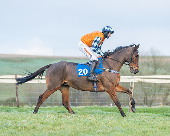Race 8 - PPORA conditions for Novice Riders (84 of 378)