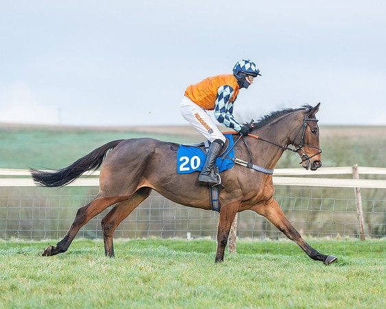 Race 8 - PPORA conditions for Novice Riders (85 of 378)