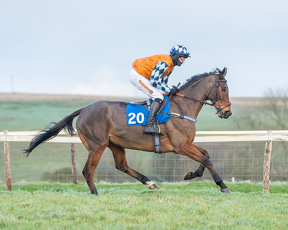 Race 8 - PPORA conditions for Novice Riders (83 of 378)