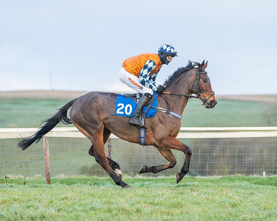 Race 8 - PPORA conditions for Novice Riders (82 of 378)