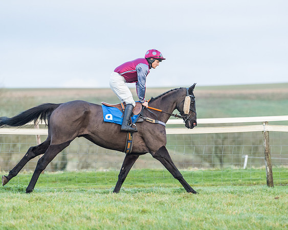 Race 8 - PPORA conditions for Novice Riders (79 of 378)