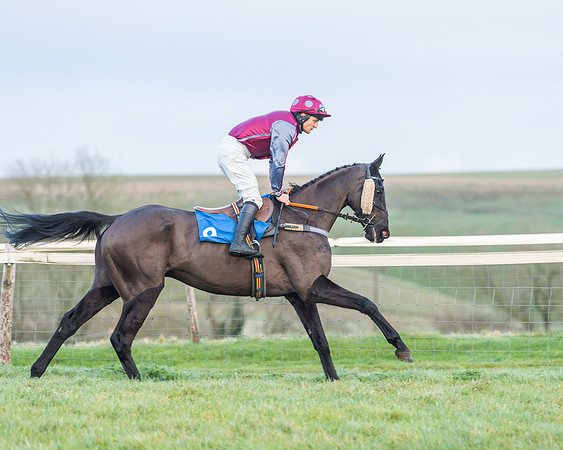 Race 8 - PPORA conditions for Novice Riders (78 of 378)