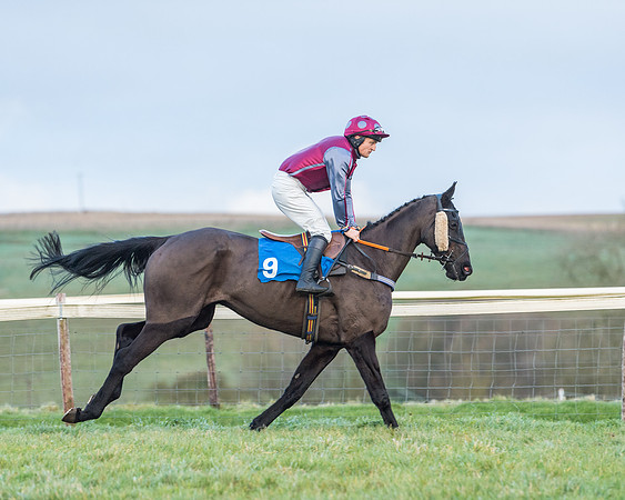 Race 8 - PPORA conditions for Novice Riders (73 of 378)