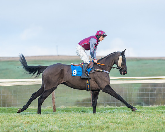 Race 8 - PPORA conditions for Novice Riders (72 of 378)
