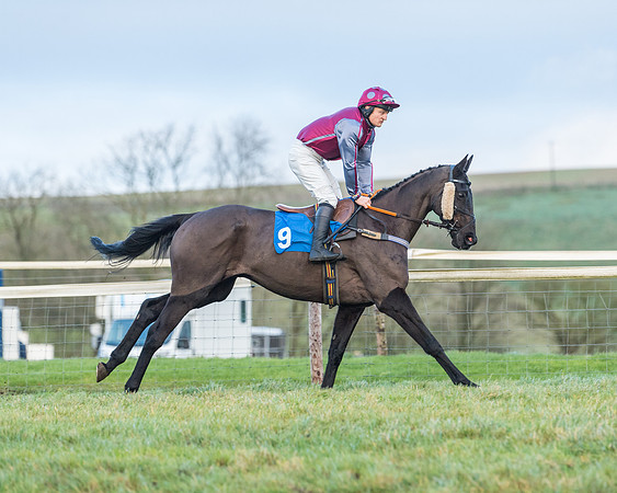 Race 8 - PPORA conditions for Novice Riders (68 of 378)