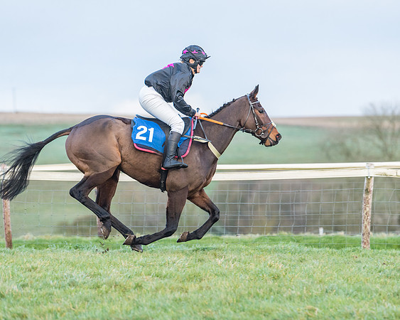 Race 8 - PPORA conditions for Novice Riders (63 of 378)