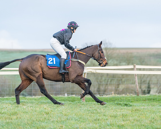 Race 8 - PPORA conditions for Novice Riders (65 of 378)