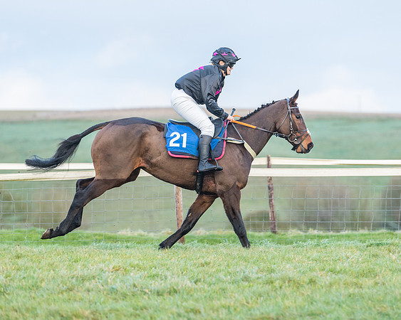 Race 8 - PPORA conditions for Novice Riders (61 of 378)