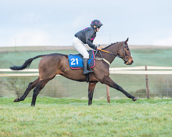 Race 8 - PPORA conditions for Novice Riders (60 of 378)